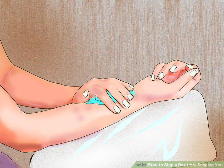 Step 15
