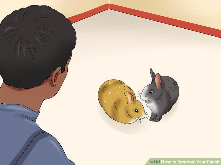 Step 11