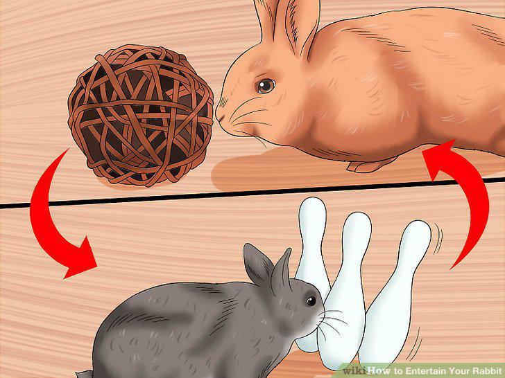 Step 8