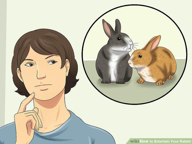 Step 10