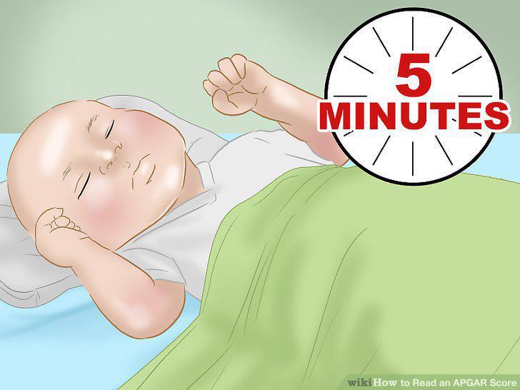 Step 12