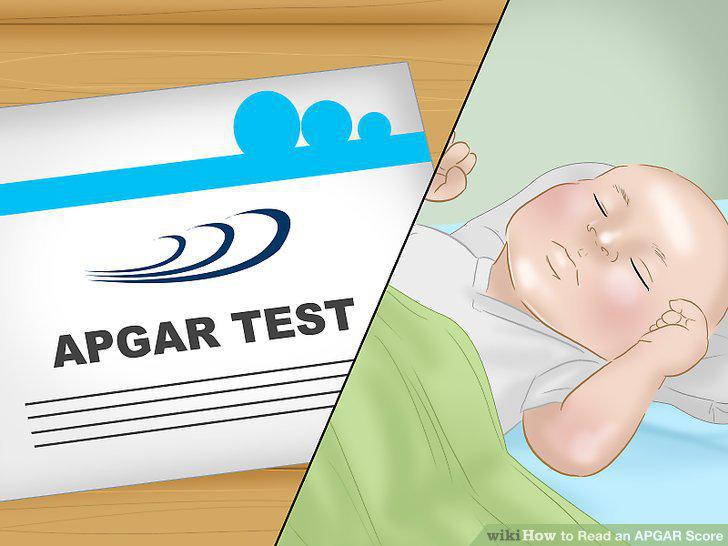 Step 13