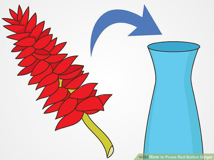 Step 11