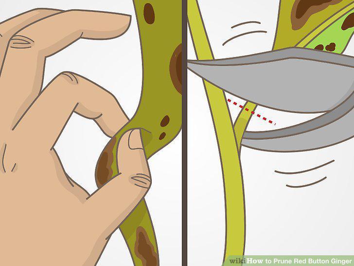Step 3