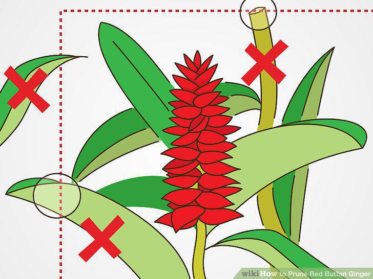 Step 6