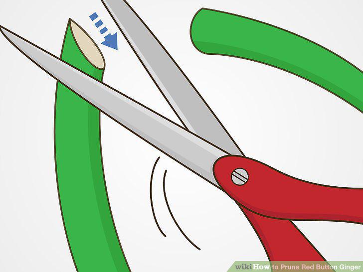 Step 7
