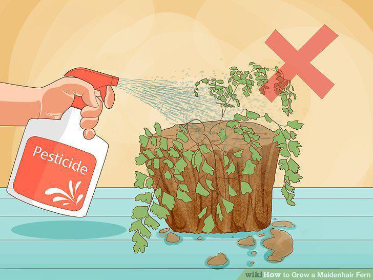 Step 11
