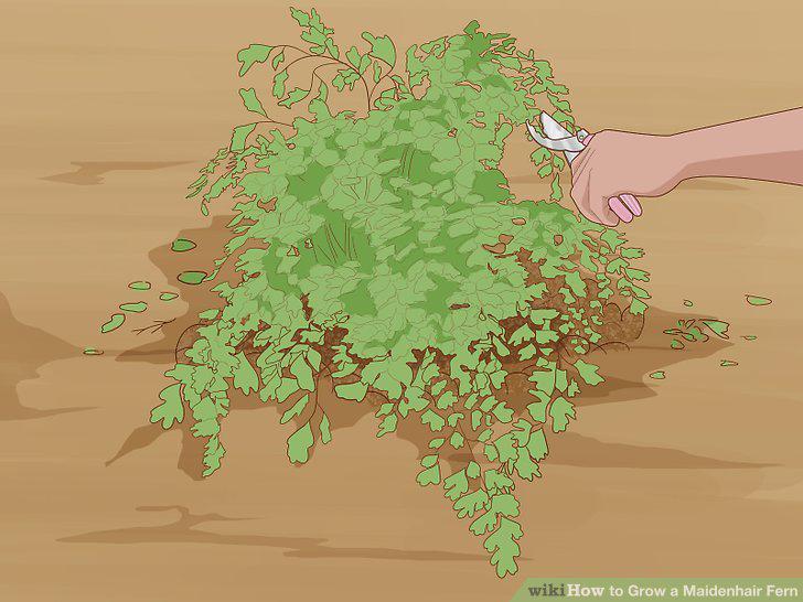 Step 13