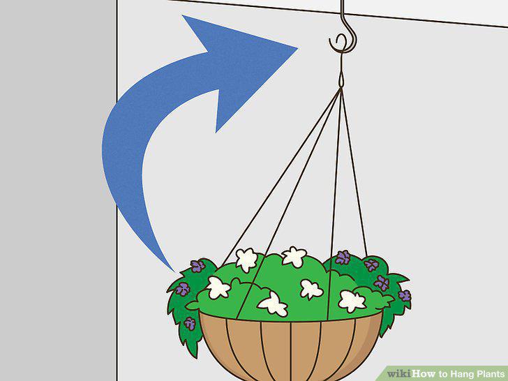 Step 12