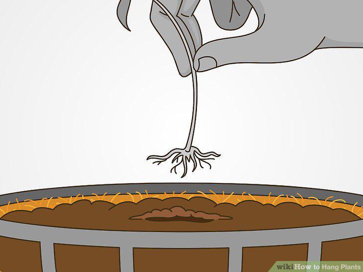 Step 7
