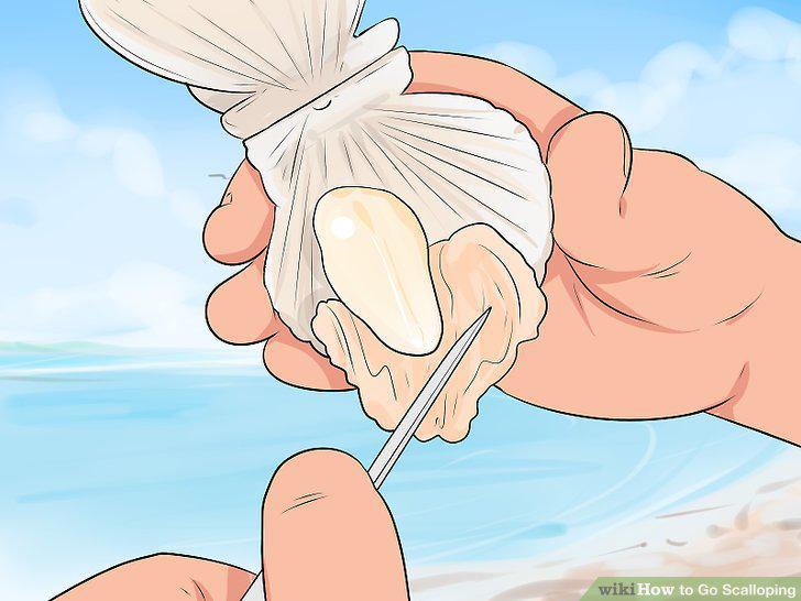Step 11