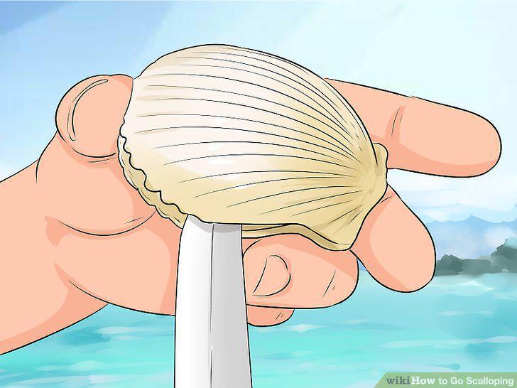 Step 9