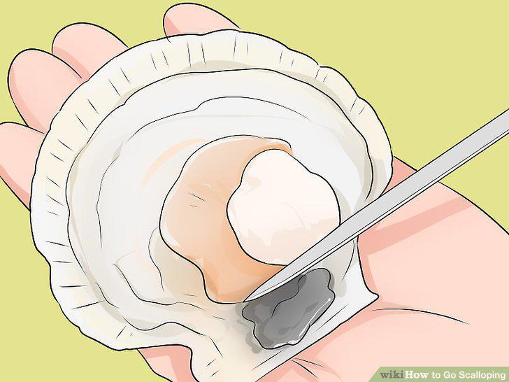 Step 10