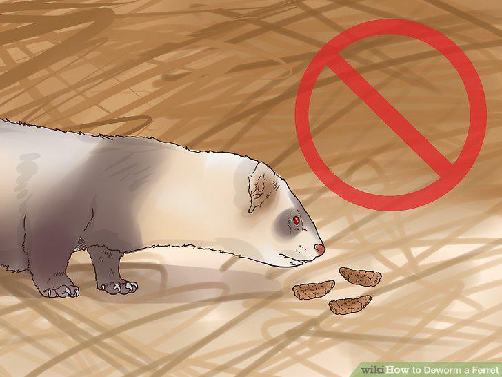 Step 12