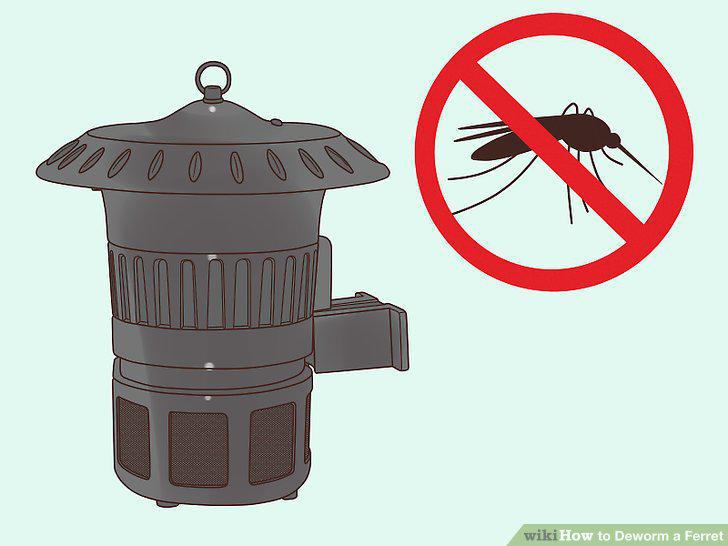 Step 13