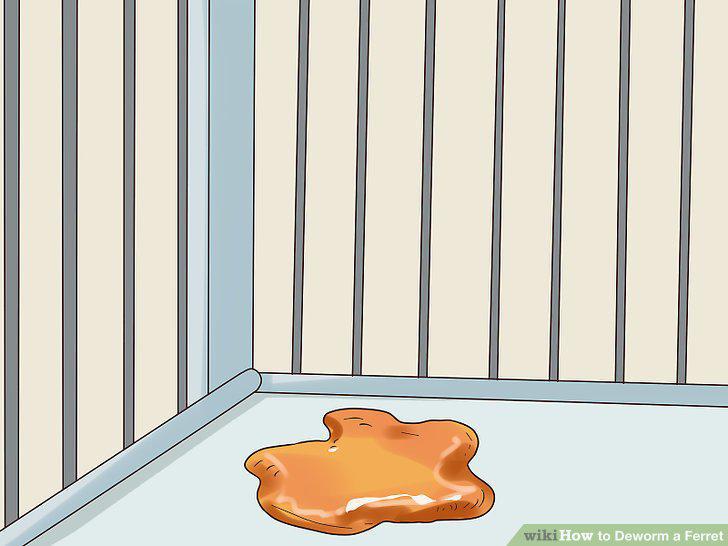 Step 8