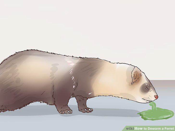 Step 9