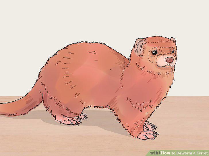 Step 10