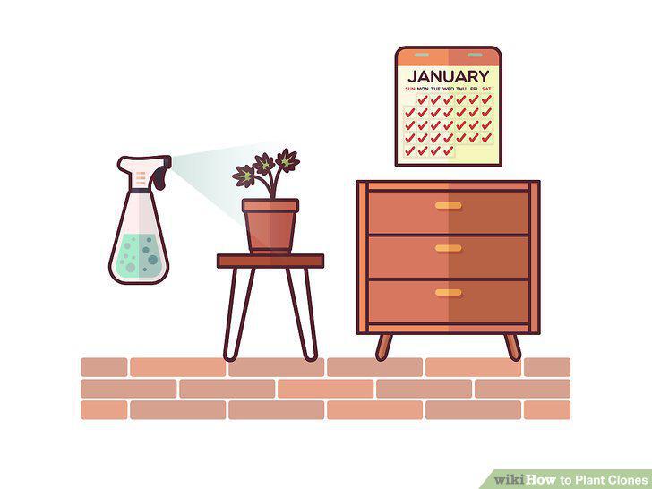 Step 11