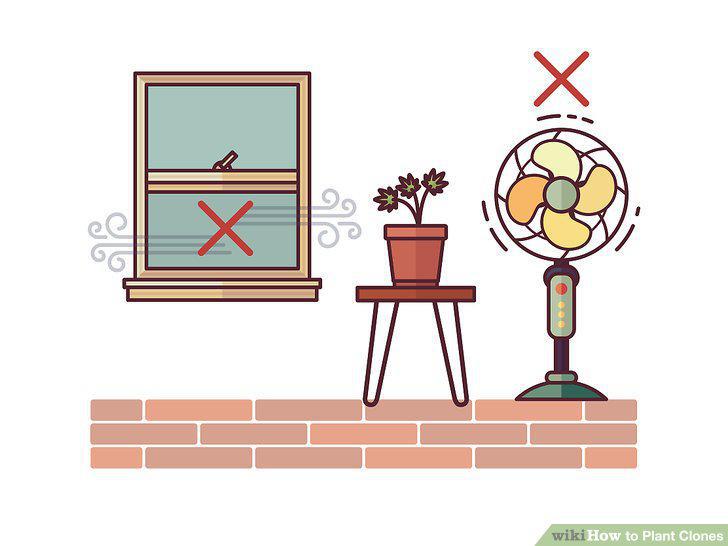 Step 12