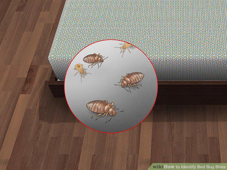 Step 5