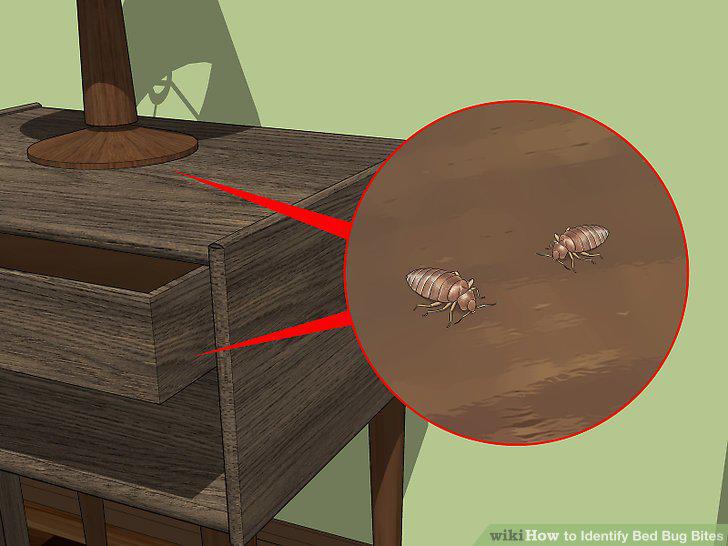 Step 9
