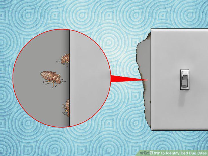 Step 10
