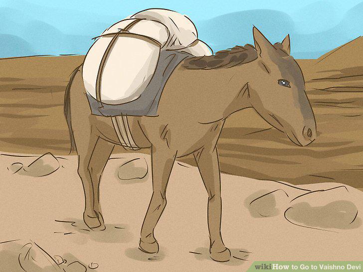 Step 11