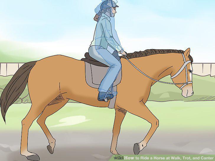 Step 11