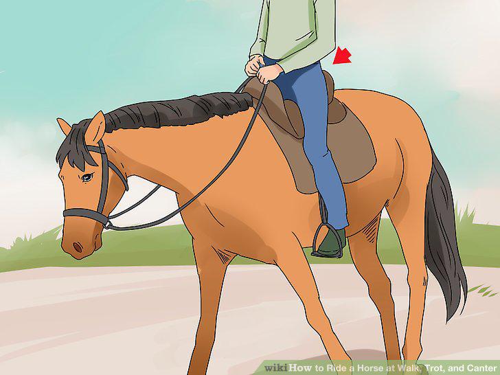 Step 15