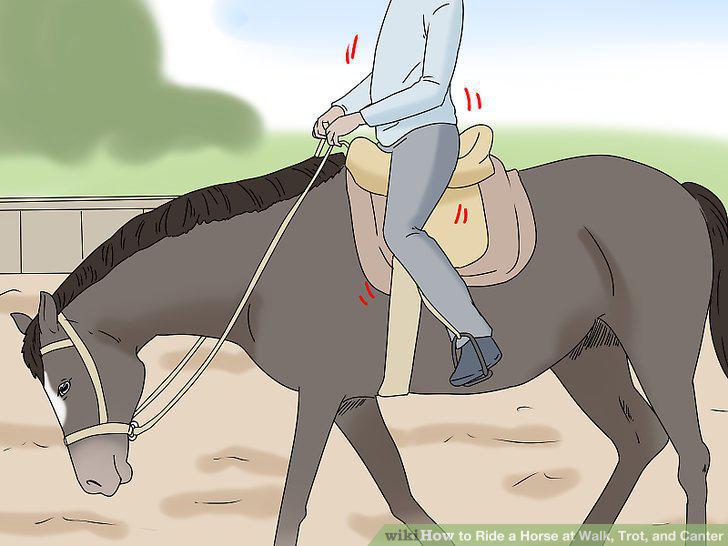 Step 9
