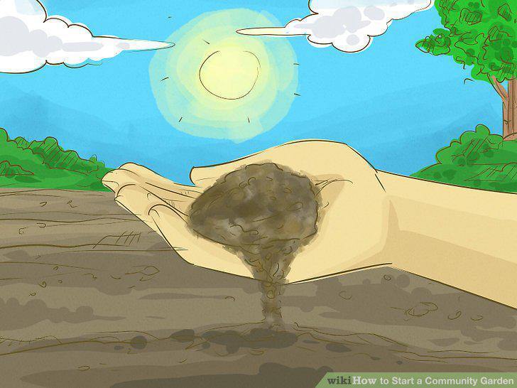 Step 15