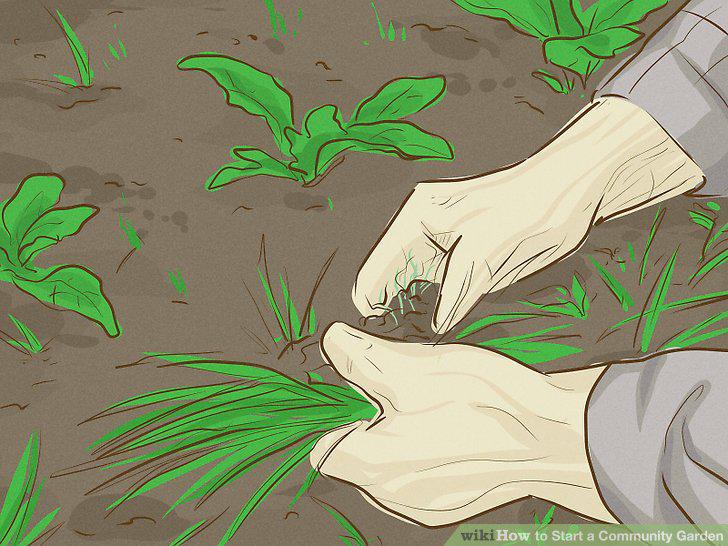 Step 21