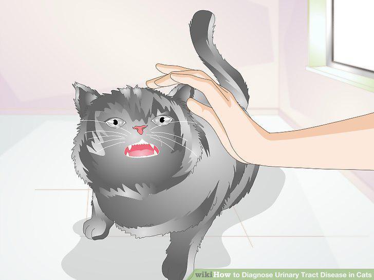 Step 5