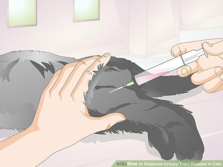 Step 8