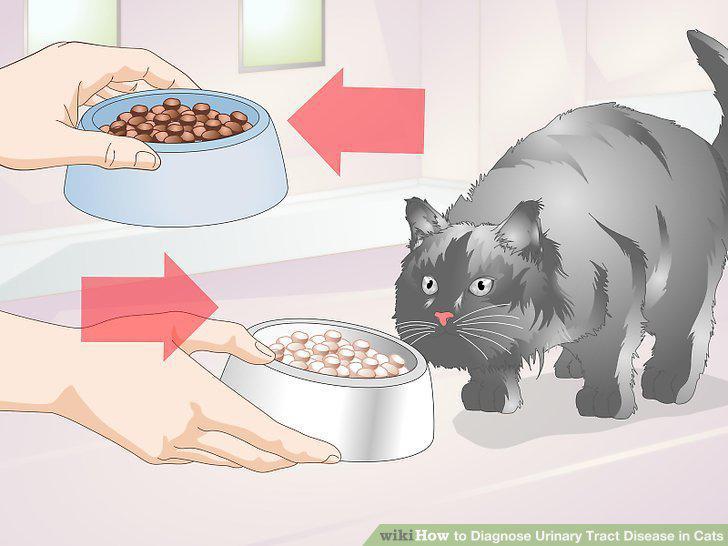 Step 9