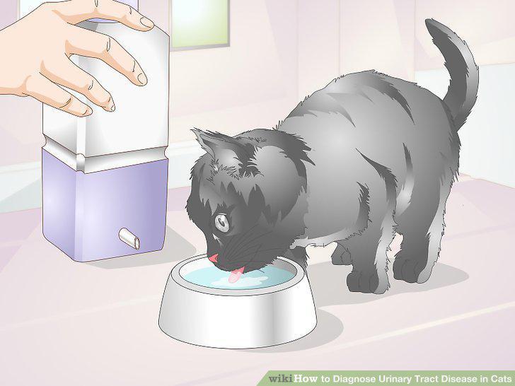 Step 10