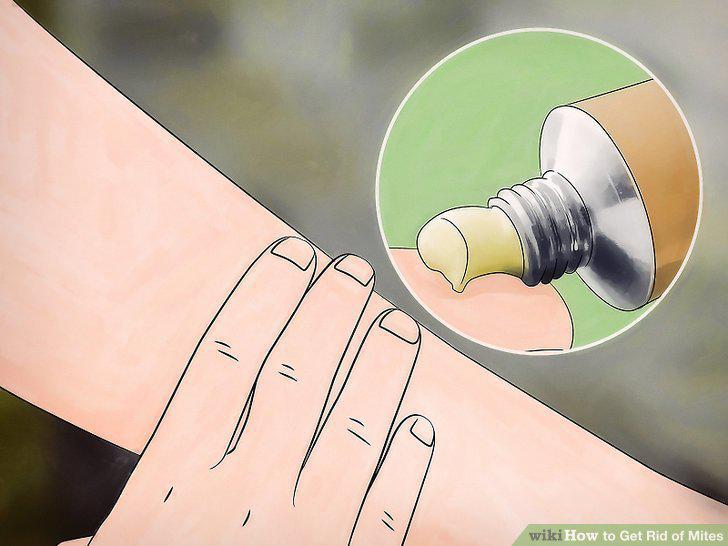 Step 11