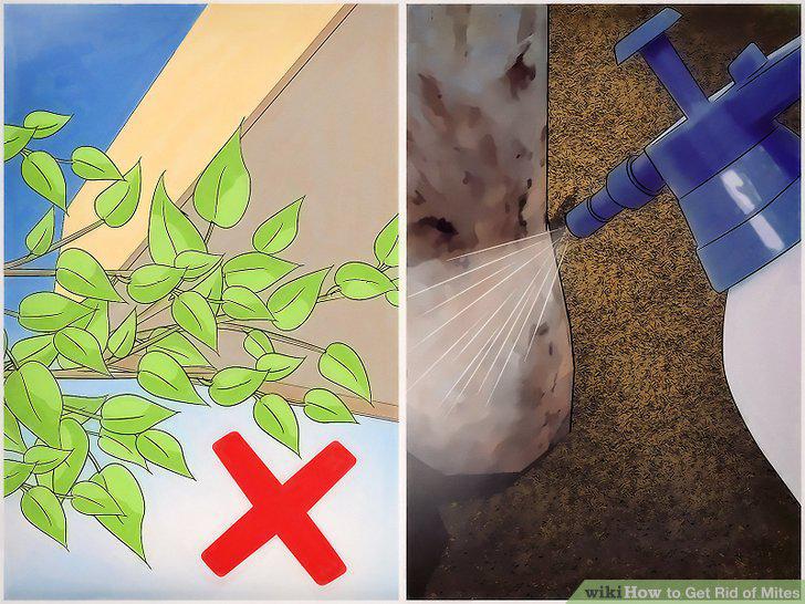 Step 13