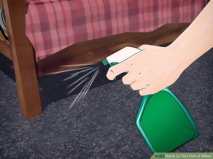 Step 9
