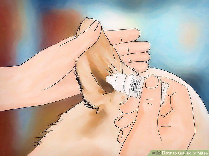 Step 10