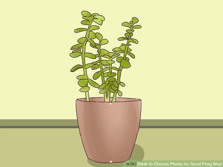 Step 11
