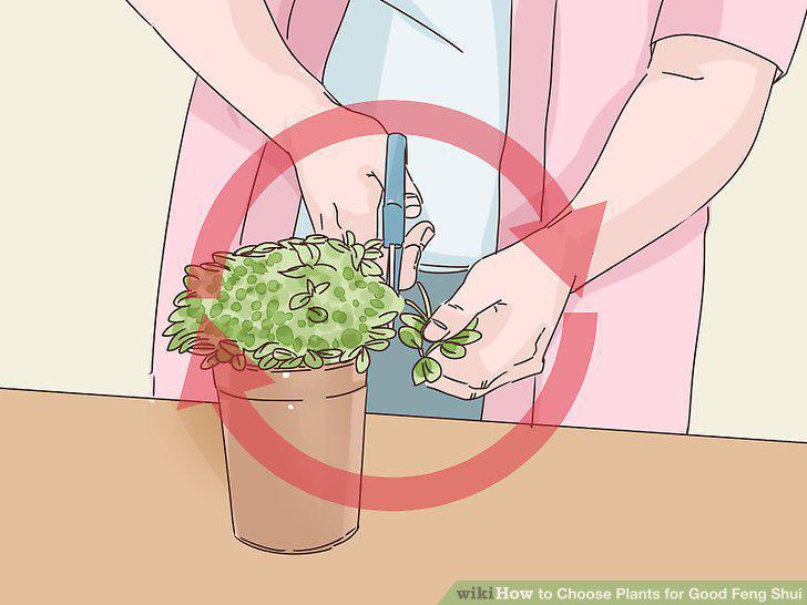Step 15