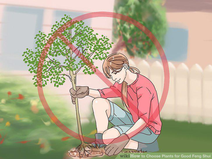 Step 6