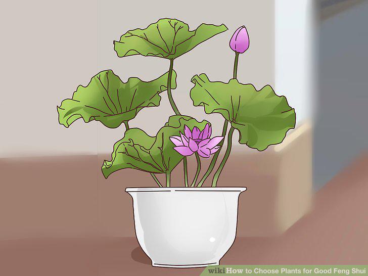 Step 9