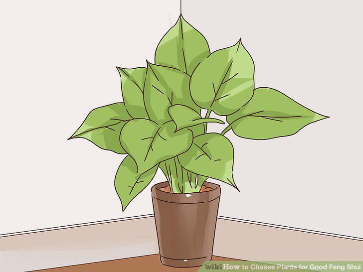 Step 10