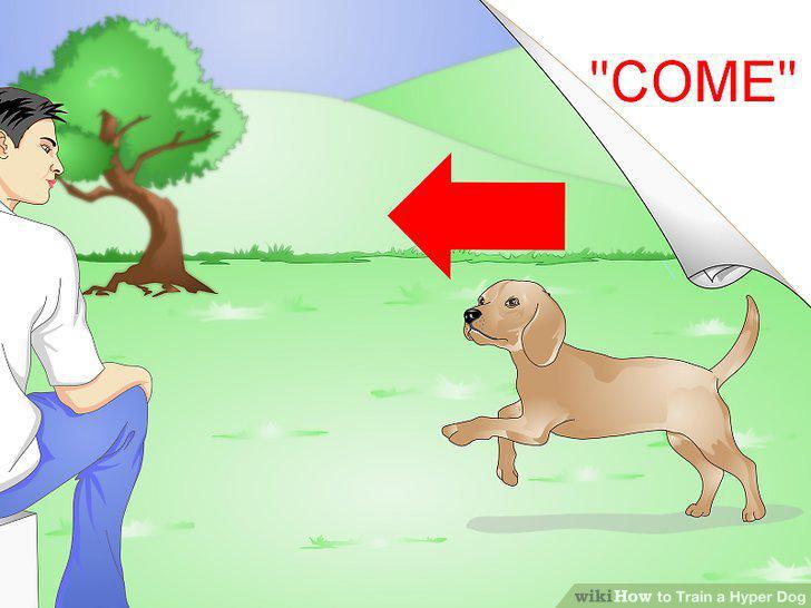 Step 11