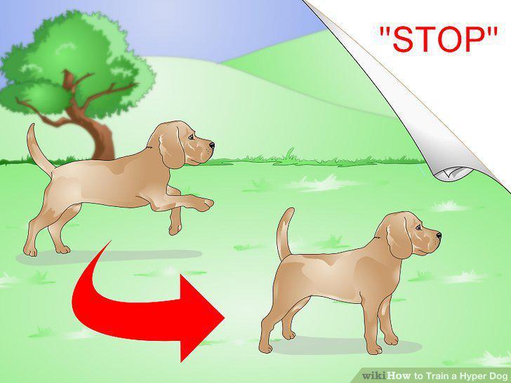 Step 5