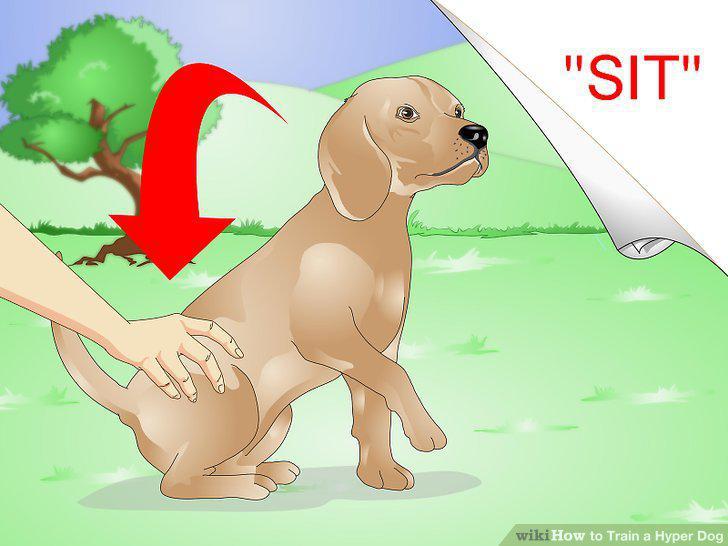 Step 8