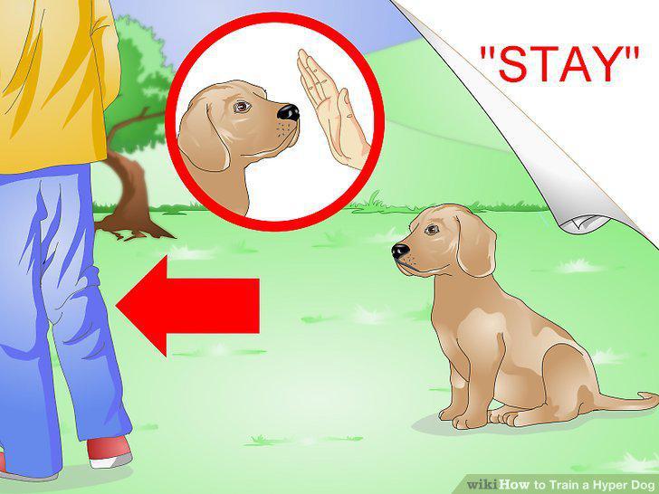 Step 10